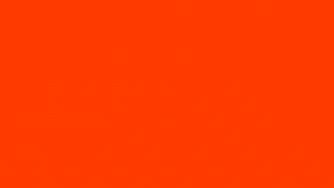 Agence Fauve